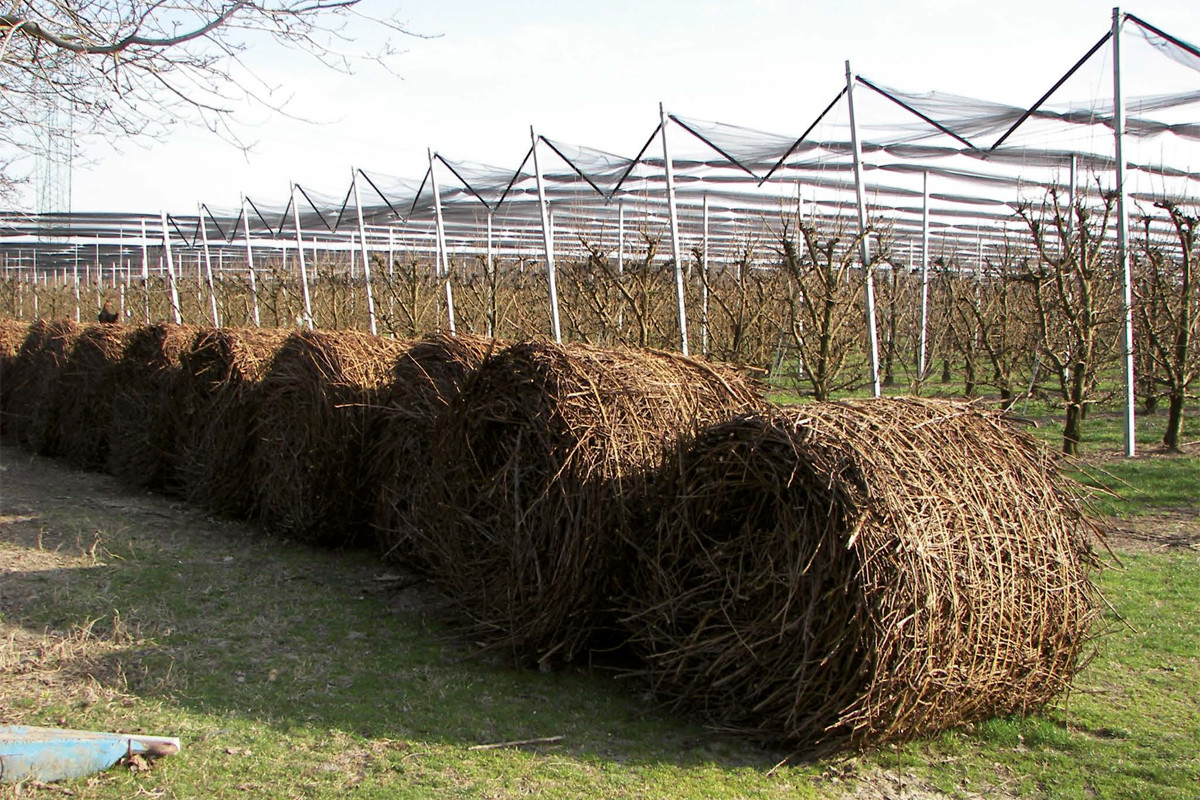 In alcuni casi, la produzioni di ramaglie durante la potatura delle viti raggiunge volumi molto elevati